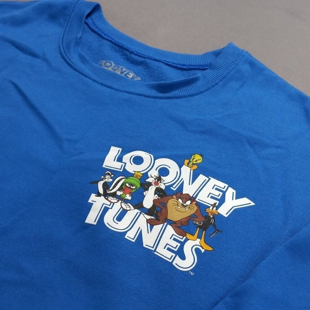 Looney Tunes Fleece Sweatshirt Blue Graphic‎ Pullover Thats All Folks Small